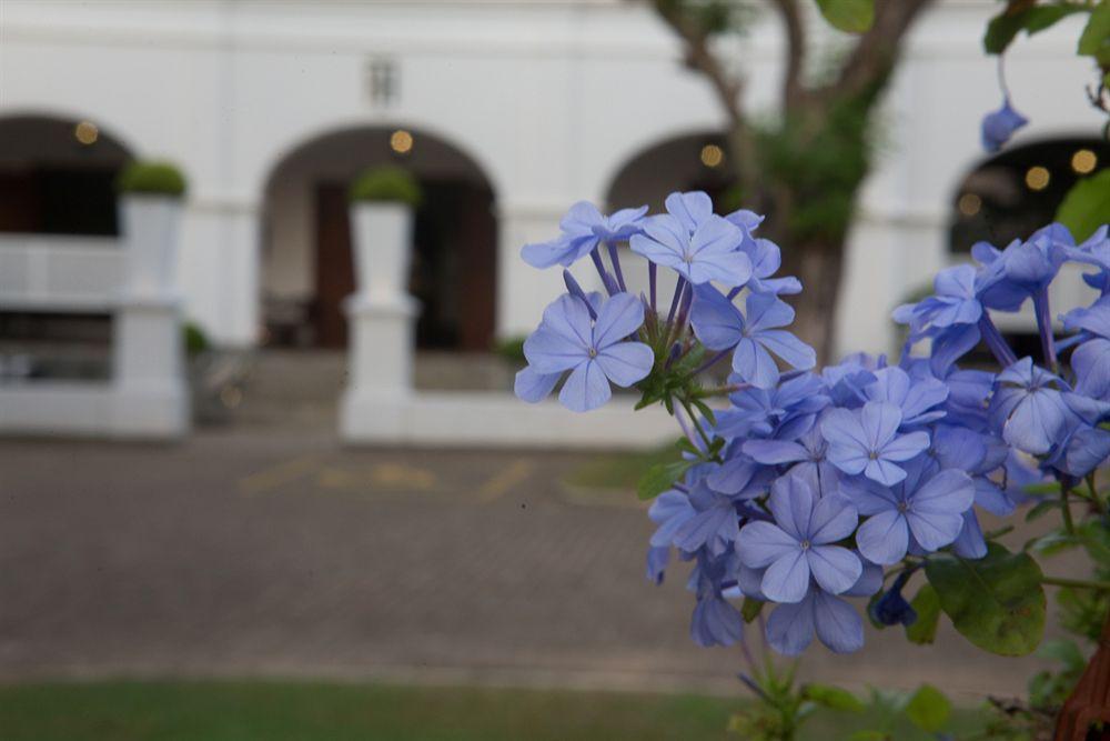 Tamarind Hill Hotel Galle Exterior photo